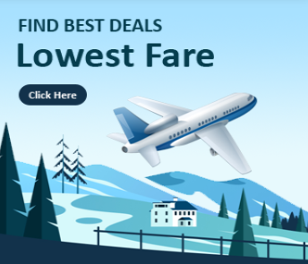 Domestic and International Flights